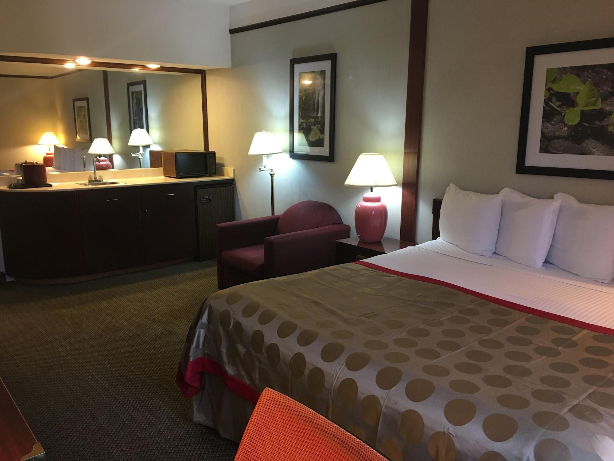 Hotel Ramada By Wyndham Airport 3*
